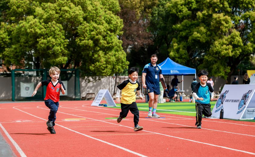 JLX 6307 opq4471352531