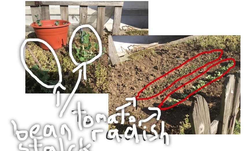 9c2a81e6 c4d9 4d4c 8a90 9cf6dfab2ce4 jpg 1581898347 7776000 SW2ijgf A Lji Tts Wo4 Ny ZGB Gad3 Jm J Sta Vu5r Xq4 E Dfj1 LN Wb Q Vsl Yew PD4zjn XS0 M63np 0op Pi 3n5 Da Mb WQ