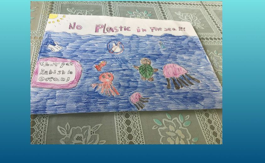 Hanna 2 C plastic pollution art work