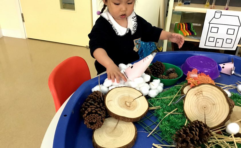 IMG 5386 2021 03 05 053246