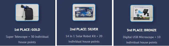 Individual prizes