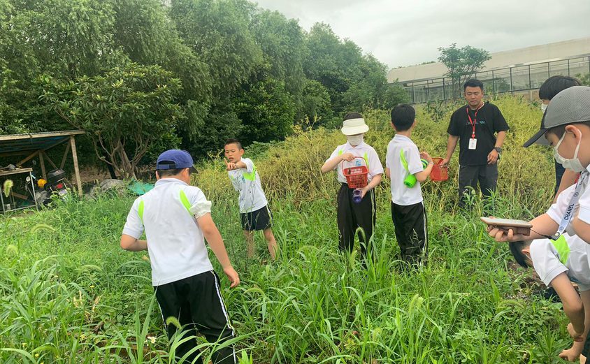 Whats App Image 2021 06 16 at 13 03 42