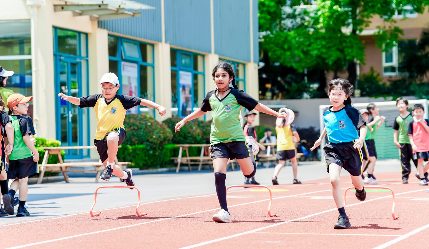 SLL01819 opq3685445807