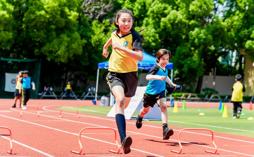 SLL02377 opq3685525739