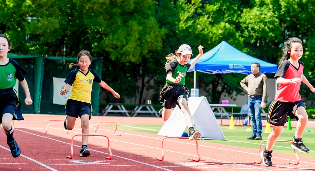 SLL02723 opq3685618804