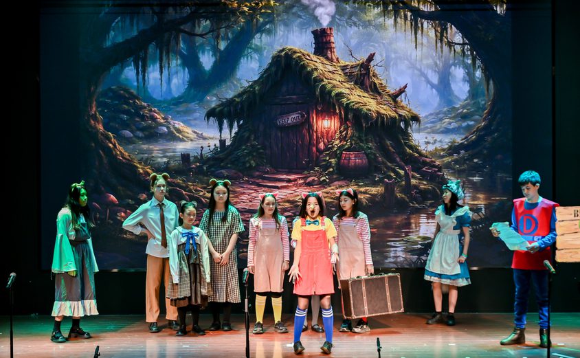 ZGD 1913 opq4507327318