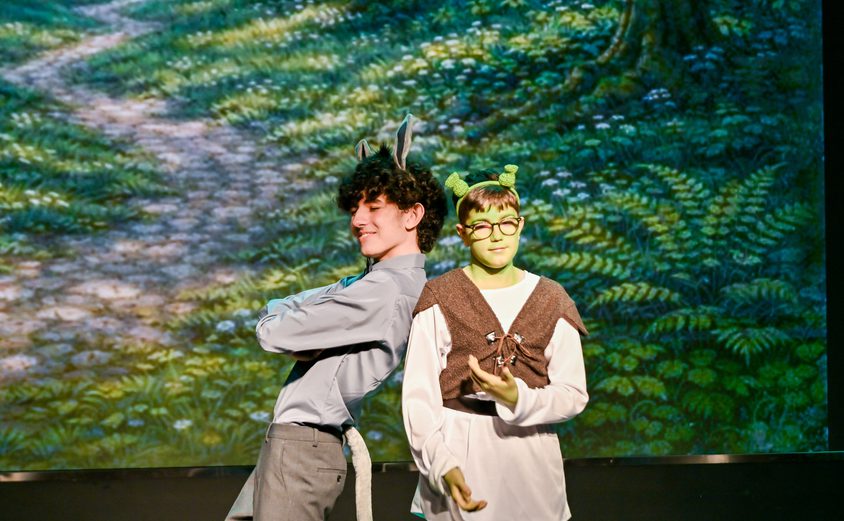 ZGD 2500 opq4507442439