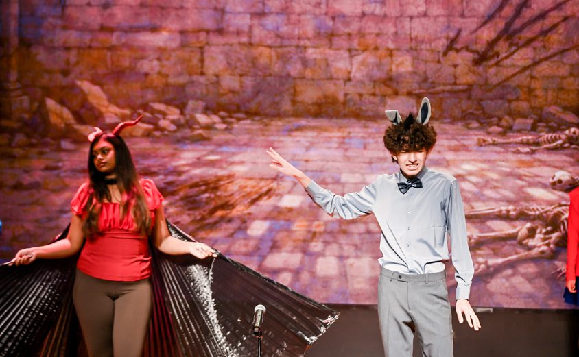 ZGD 2673 opq4507465633