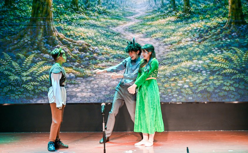 ZGD 2803 opq4507488902