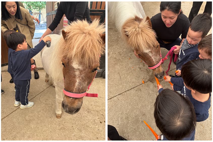 kids looking after a pony